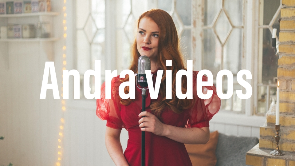 Andra videos